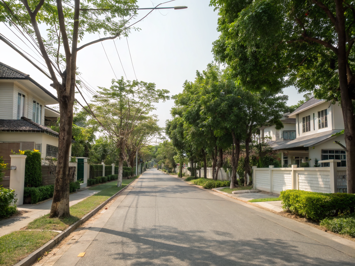 ถนนในหมู่บ้านพักอาศัยร่มรื่น